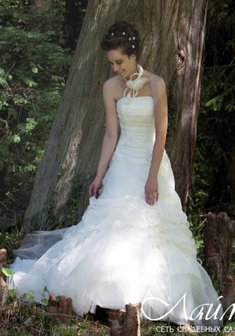 Арт. Volubilis-Л16126