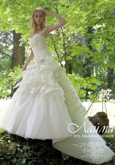 Арт. Caladium-Л16133