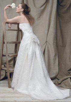 Арт. Fauve-C17592