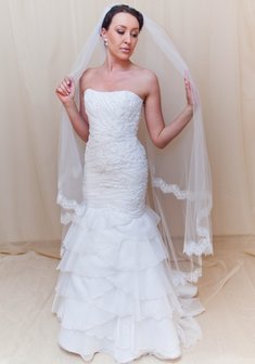 Арт. ванесса-M31586