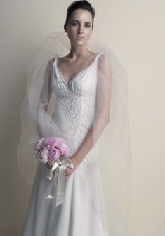 Арт. Delphinium-C32836