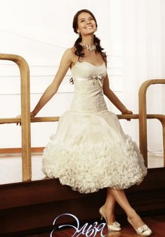 Арт. Катти-Э3465