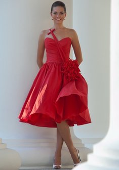 Арт. Terry-A38545