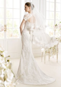 Арт. Paislee-B42173