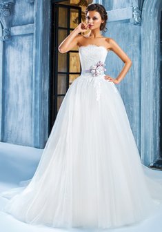 Арт. N25509-1X-X50645