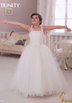 Арт. TG 043-Y55534