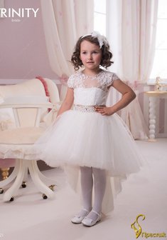 Арт. TG 021-Y55536