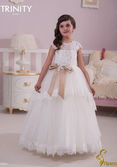 Арт. TG 026-Y55537