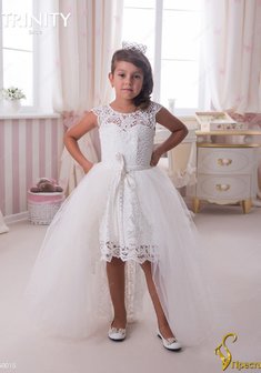 Арт. TG 015-Y55545