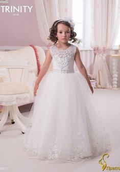 Арт. TG 017-Y55551