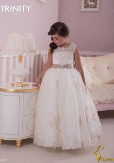 Арт. TG 018-Y55552