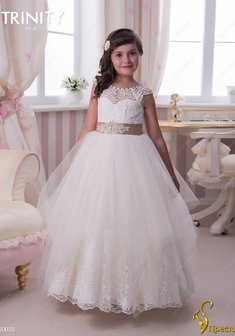 Арт. TG 035-Y55553