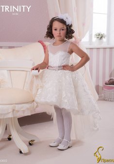 Арт. TG 032-Y55555