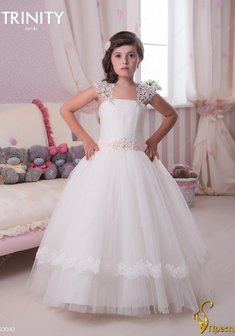 Арт. TG 040-Y55559