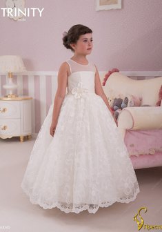 Арт. TG 045-Y55561