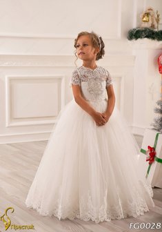 Арт. FG 028-Y55568