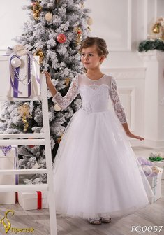 Арт. FG 057-Y55572