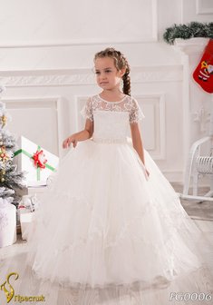 Арт. FG 006-Y55577