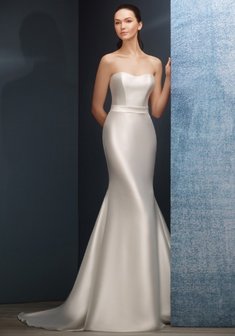 Арт. Virgo-B58782