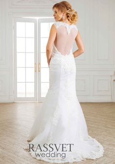 Арт. Николь-R59258