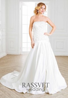 Арт. Сильвия-R59260