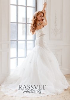 Арт. Паола-R59328