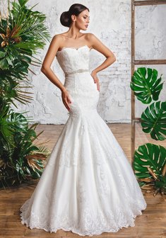 Арт. Aurelia-C65057