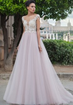 Арт. Шедди-Л65707