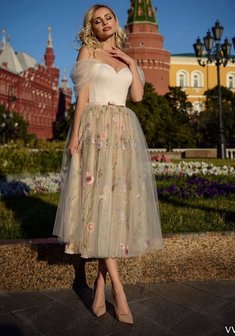 Арт. Валенсия-C67547