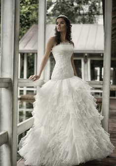 Арт. Шелли-С8792