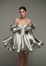 Вечернее платье Принцесс Сильвер Грей-V70793