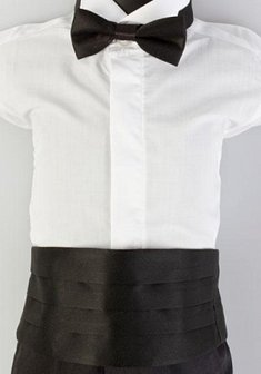 Арт. Кушак и бабочка. Roco-M1812