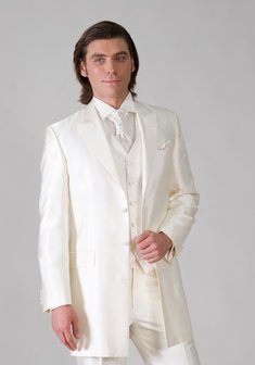 Арт. 65051/3 сюртук-F352