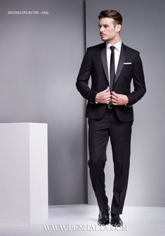 Арт. Aldo-P887