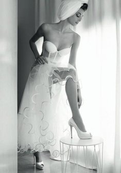 Арт. Penrose bw 1-I30347