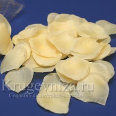 Кремовые лепестки K13507