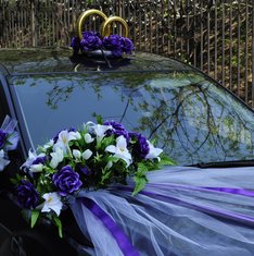 Фиолетовая фата на авто Д14717