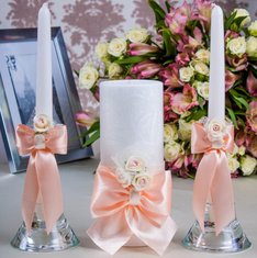 Семейный очаг Д14922