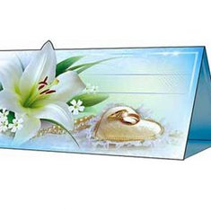 Рассадочная карточка В20590