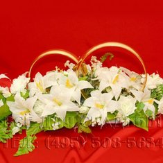 Украшение на автомобиль В20697