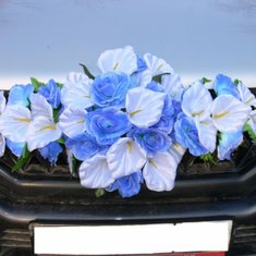 Украшение на автомобиль В20703