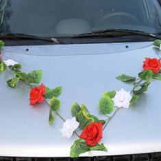 Украшение на автомобиль В20708