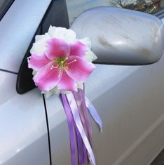 Украшение на автомобиль В20713