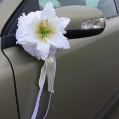 Украшение на автомобиль В20714