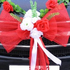 Украшение на автомобиль В20720