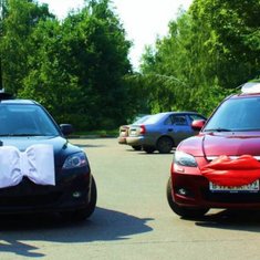 Украшение на автомобиль В20723