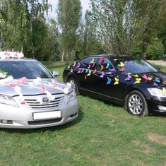 Украшение на автомобиль В20725