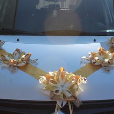 Лента на машину В20726