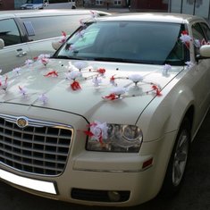 Украшение на автомобиль В20727