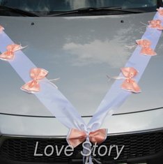 Лента на капот автомобиля L43081